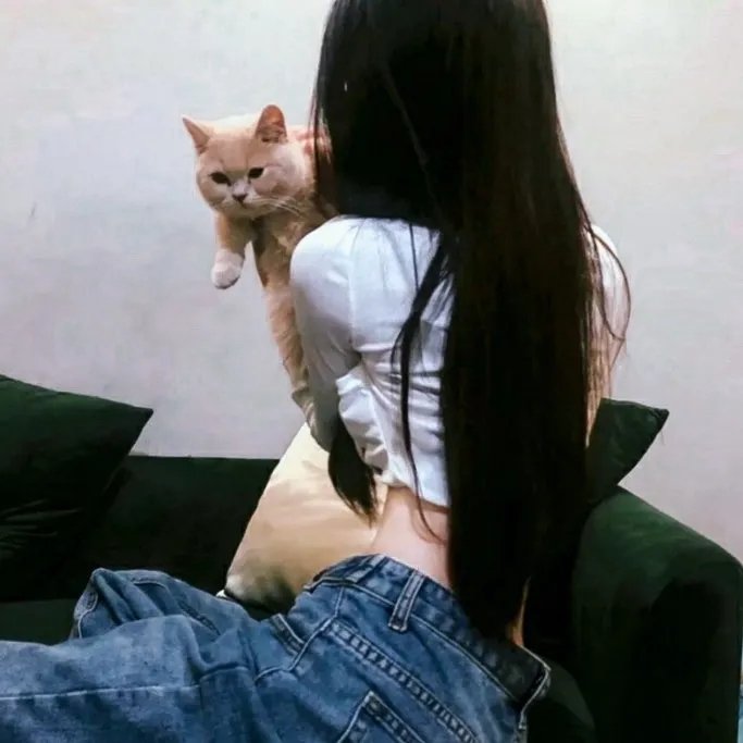 爱情秘方